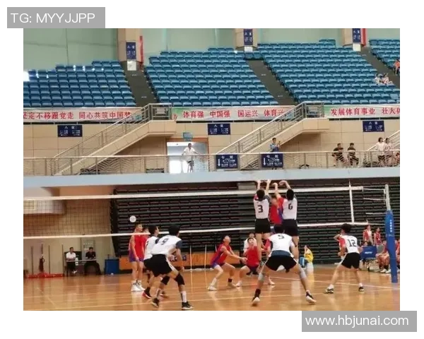 广州排球队技术变革引发热议助力球队新征程