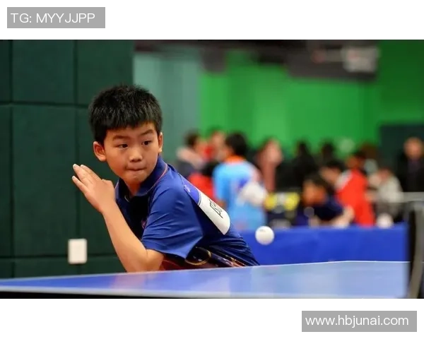 武汉乒乓球队的奋斗历程与荣耀瞬间全景纪实