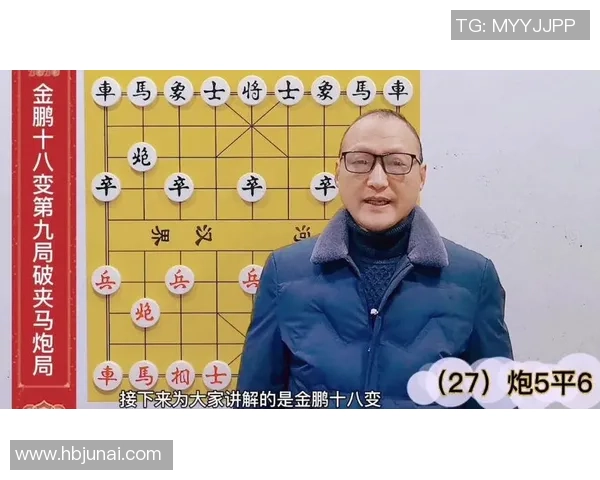 深入分析成都羽毛球队的防守反击战术及其战术优势